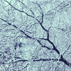 Stay_warm